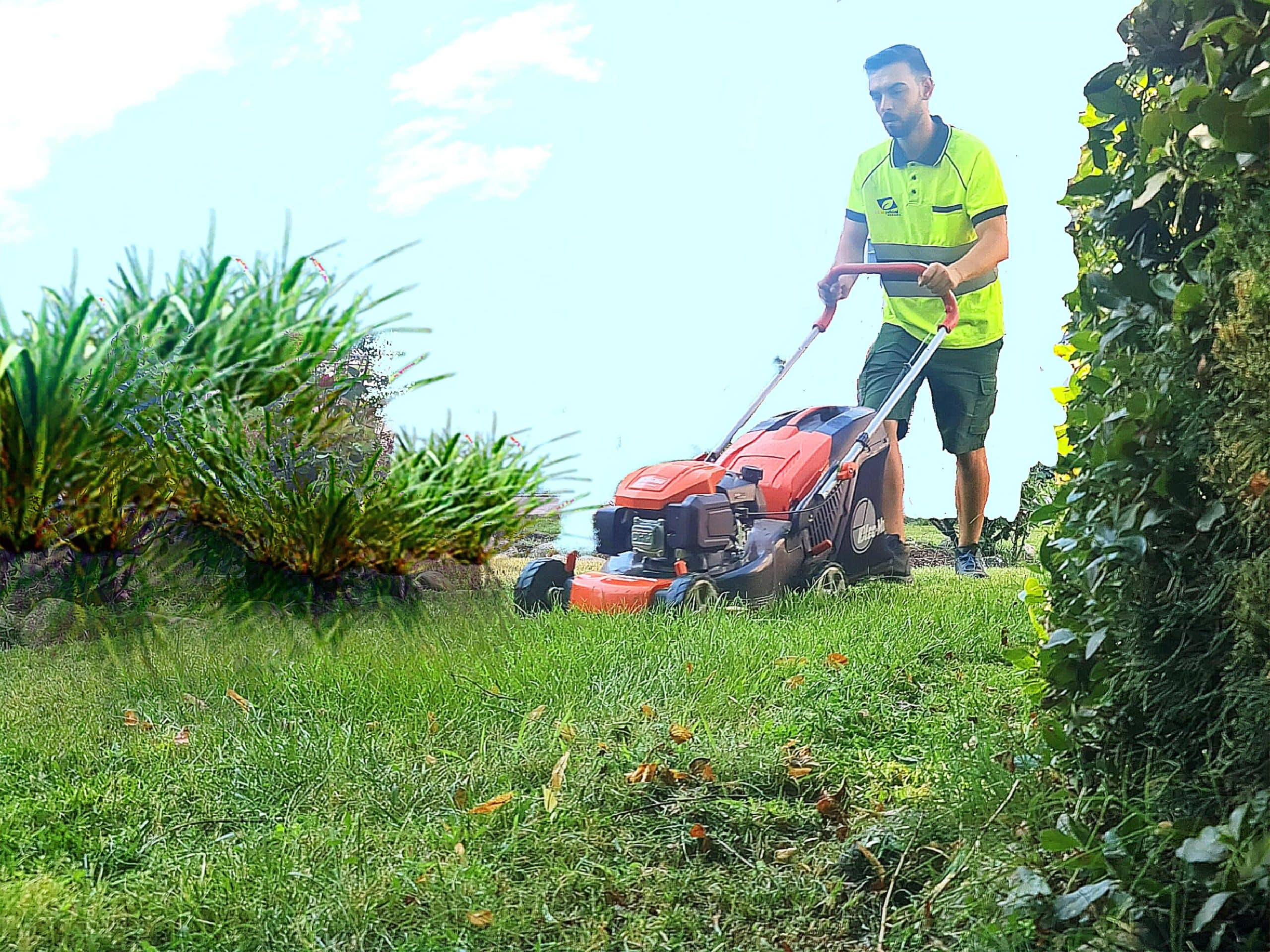 trabajos-de-jardinería